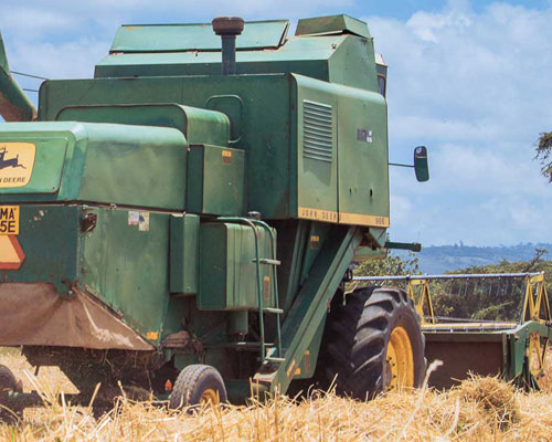 Combine Harvesters for Hire